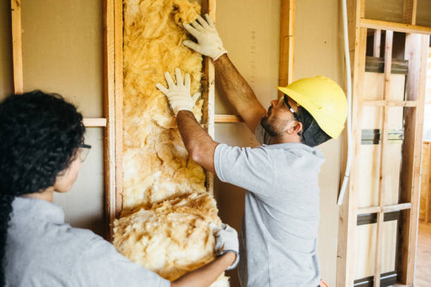 Professional Insulation in Gordonsville, VA