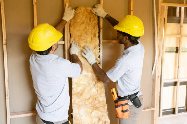 Best Blown-In Insulation  in Gordonsville, VA